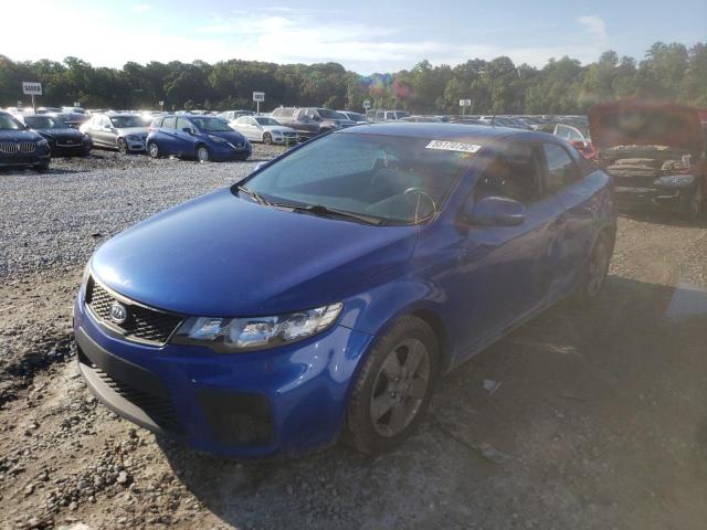 Photo 8 VIN: KNAFU6A26C5598293 - KIA FORTE EX 