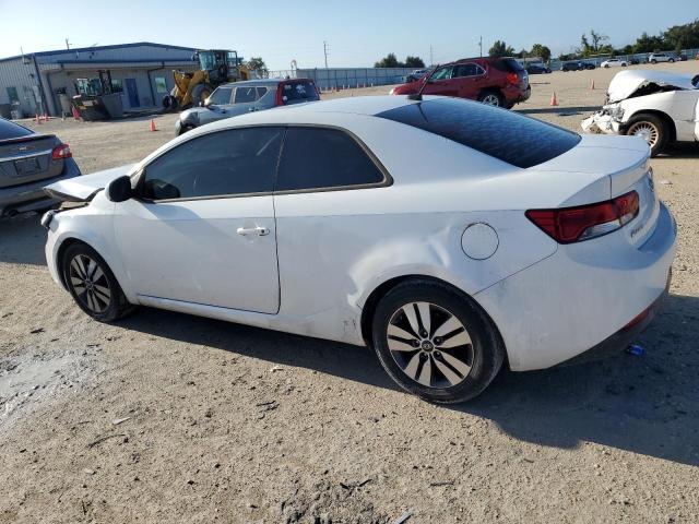 Photo 1 VIN: KNAFU6A28D5712604 - KIA FORTE EX 