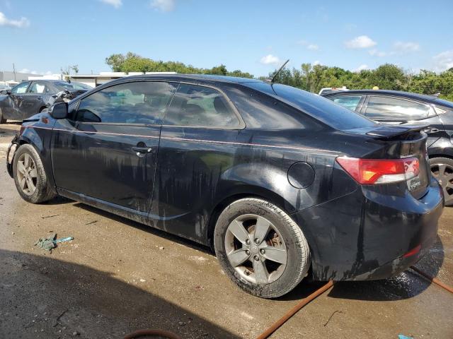 Photo 1 VIN: KNAFU6A29C5592665 - KIA FORTE EX 