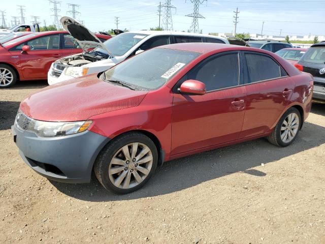 Photo 0 VIN: KNAFW4A31B5349213 - KIA FORTE SX 