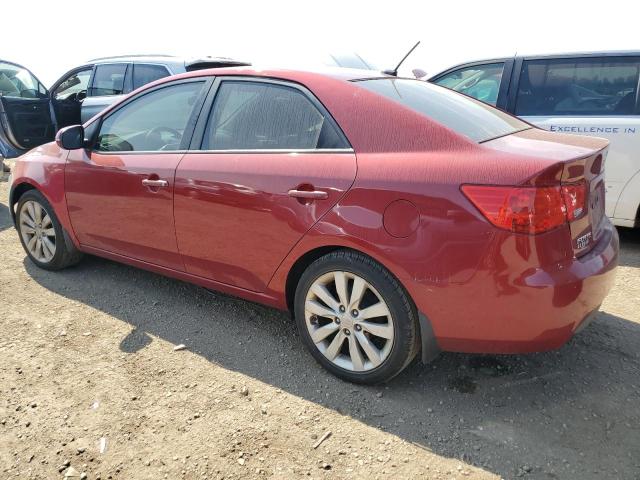 Photo 1 VIN: KNAFW4A31B5349213 - KIA FORTE SX 