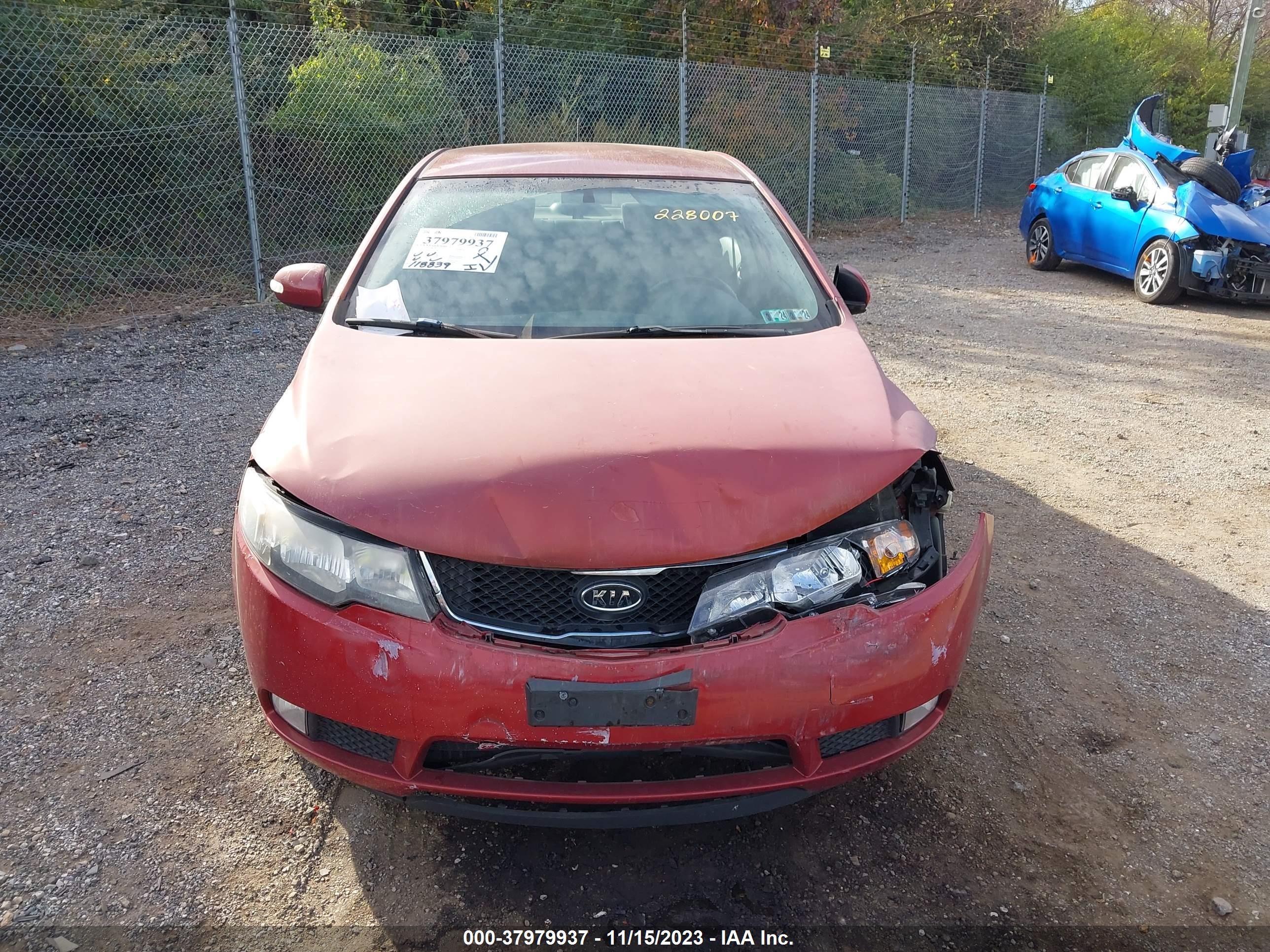 Photo 11 VIN: KNAFW4A39A5228007 - KIA FORTE 