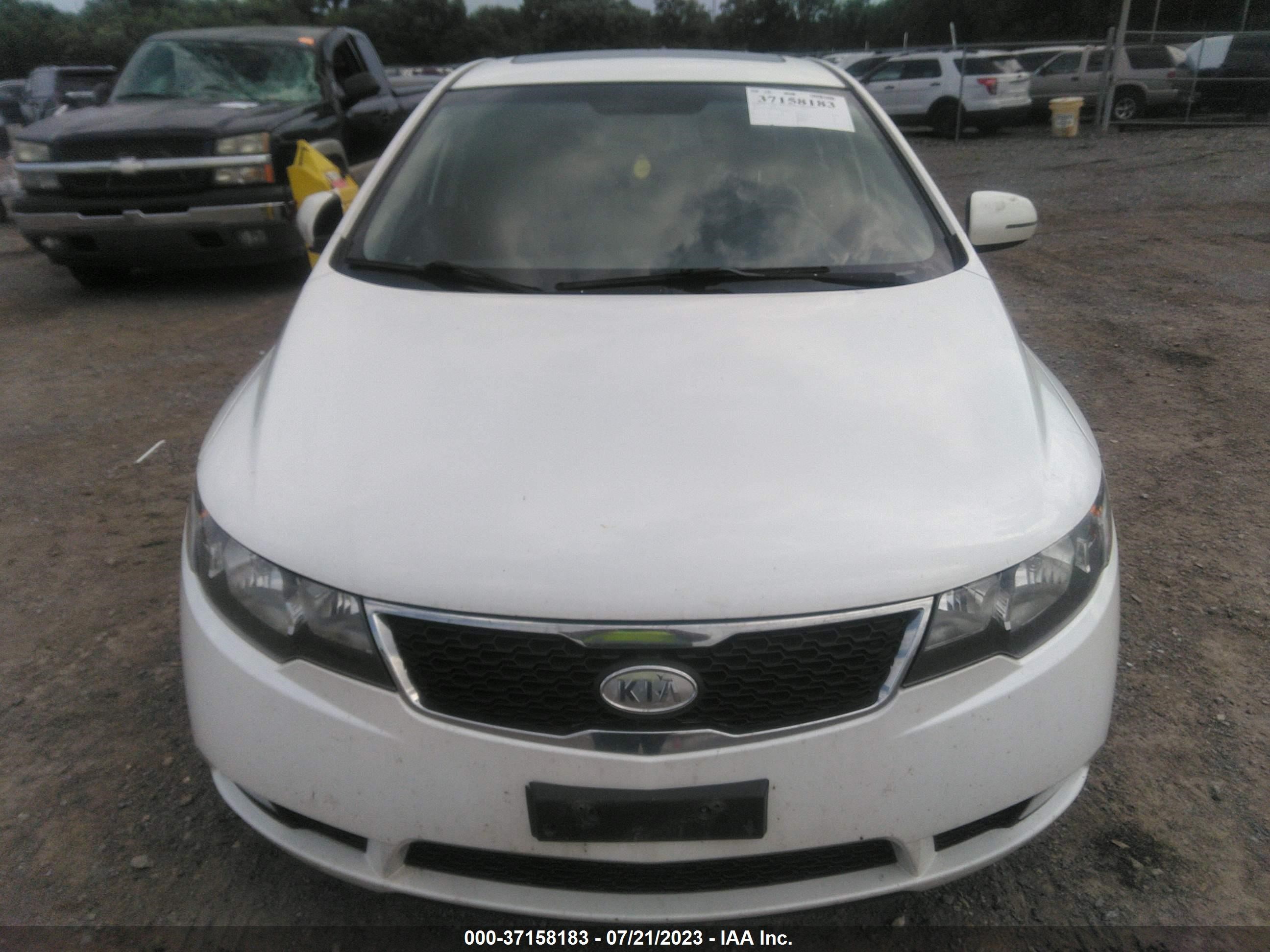 Photo 12 VIN: KNAFW4A3XD5678947 - KIA FORTE 