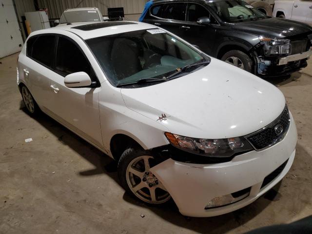 Photo 3 VIN: KNAFW5A32D5681847 - KIA FORTE 