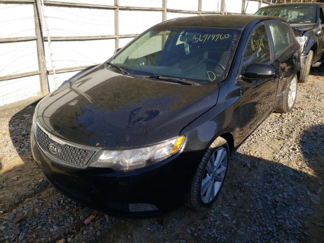 Photo 1 VIN: KNAFW5A33C5467433 - KIA FORTE SX 