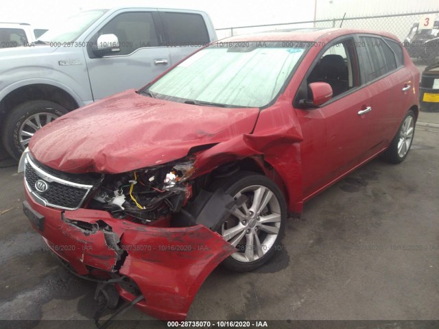 Photo 1 VIN: KNAFW5A33D5669366 - KIA FORTE 5-DOOR 