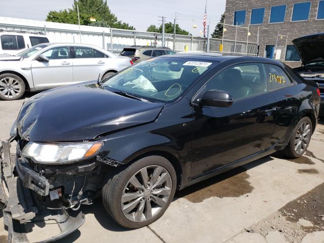 Photo 1 VIN: KNAFW6A30B5345195 - KIA FORTE SX 