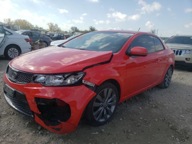 Photo 1 VIN: KNAFW6A38D5669689 - KIA FORTE SX 