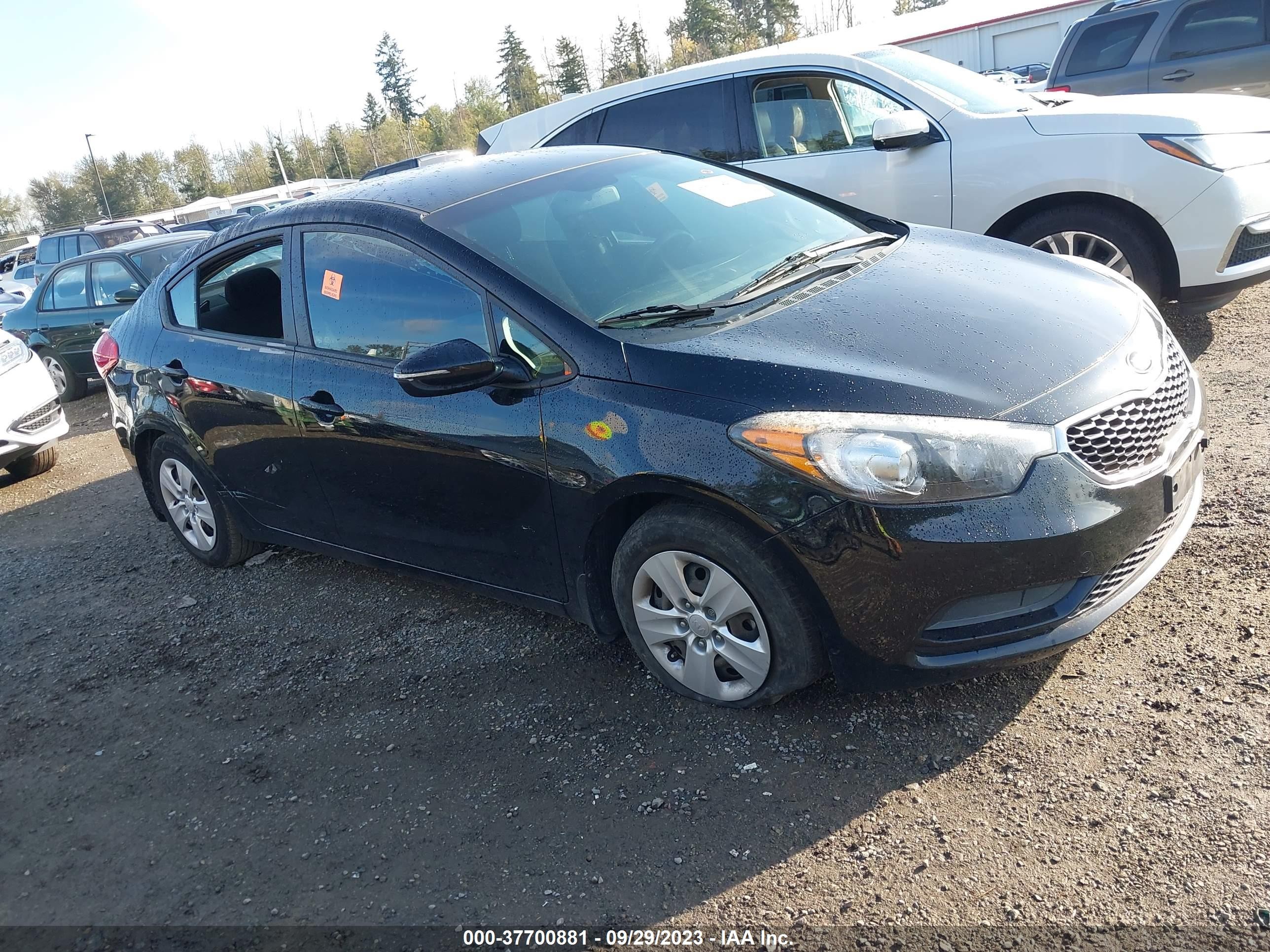 Photo 11 VIN: KNAFX4A60F5342718 - KIA FORTE 