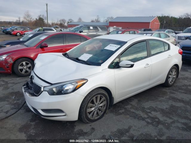 Photo 1 VIN: KNAFX4A61E5194061 - KIA FORTE 