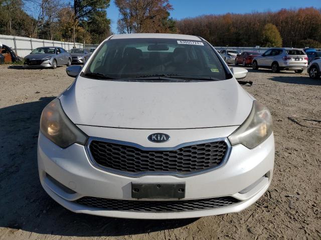 Photo 4 VIN: KNAFX4A61F5262361 - KIA FORTE LX 