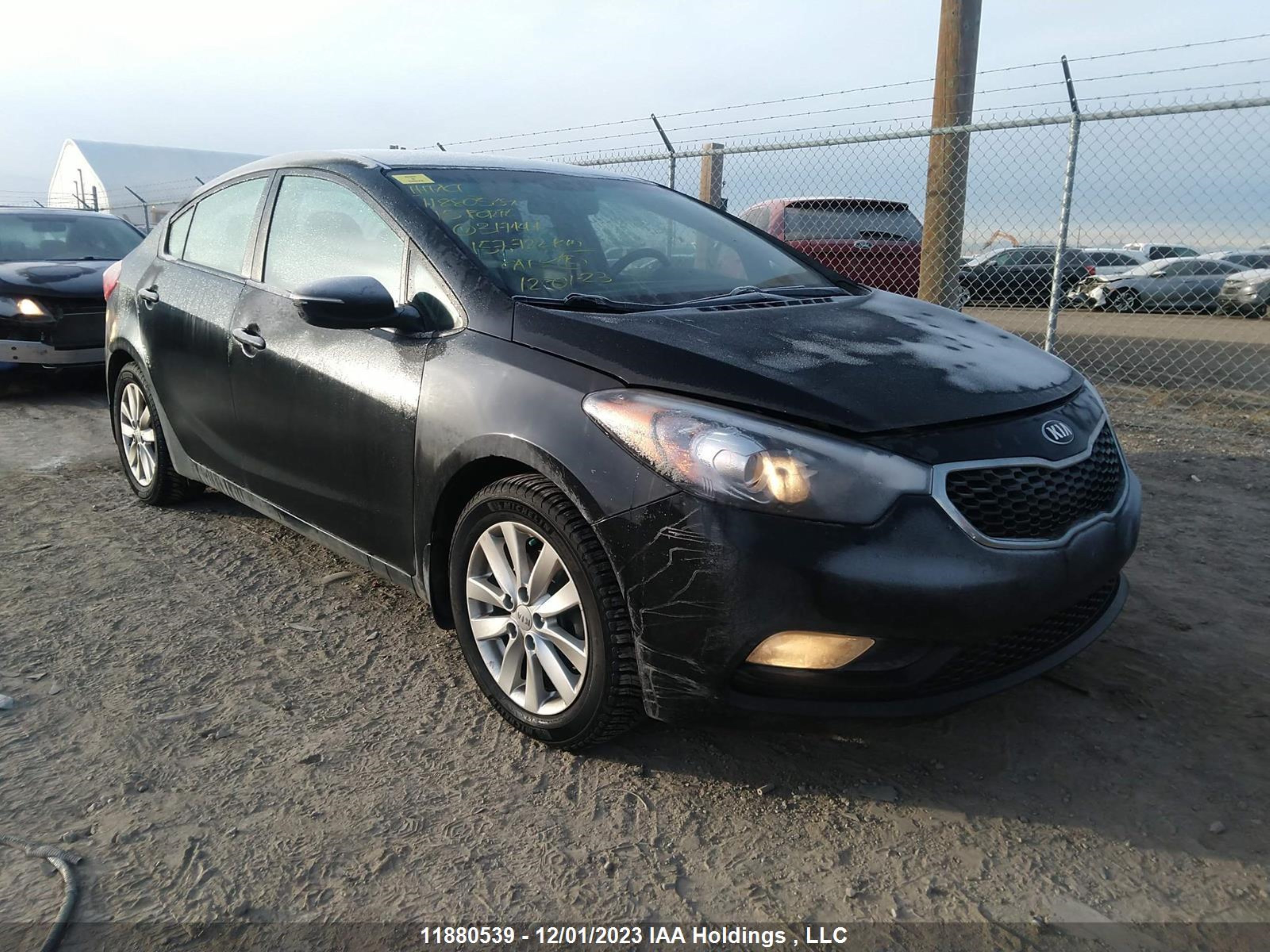 Photo 0 VIN: KNAFX4A61F5317147 - KIA FORTE 