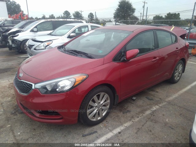 Photo 1 VIN: KNAFX4A62E5202913 - KIA FORTE 