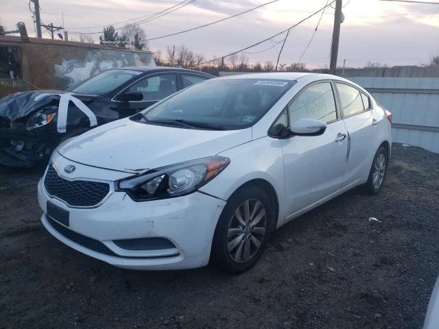 Photo 1 VIN: KNAFX4A62E5235264 - KIA FORTE LX 