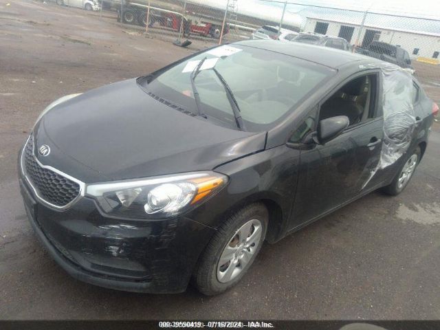 Photo 1 VIN: KNAFX4A62G5499748 - KIA FORTE 