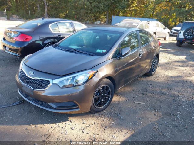 Photo 1 VIN: KNAFX4A63F5313892 - KIA FORTE 