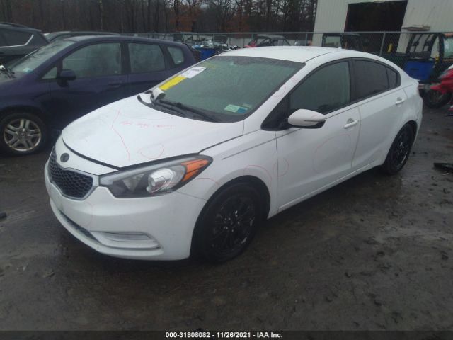 Photo 1 VIN: KNAFX4A63G5541182 - KIA FORTE 