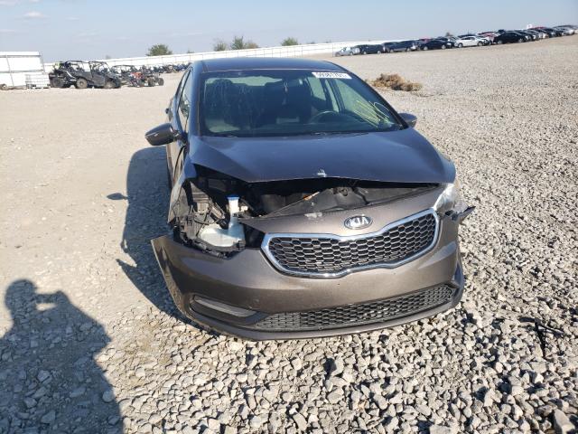 Photo 8 VIN: KNAFX4A64E5207739 - KIA FORTE LX 