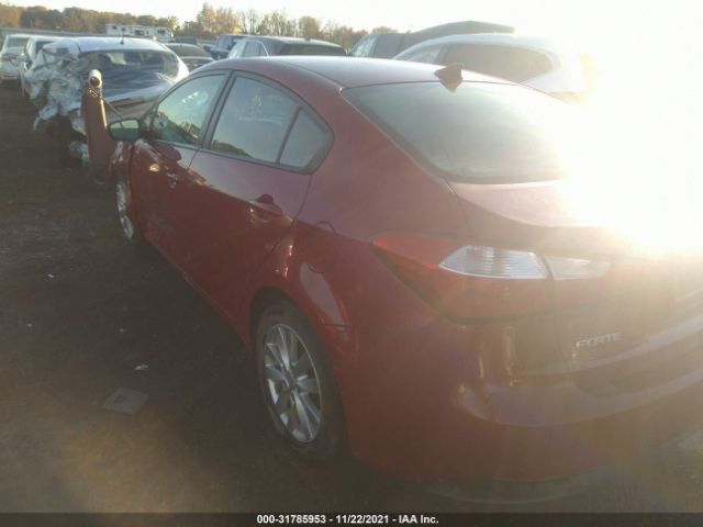 Photo 2 VIN: KNAFX4A64G5477136 - KIA FORTE 