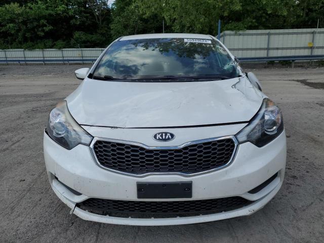 Photo 4 VIN: KNAFX4A64G5516517 - KIA FORTE 