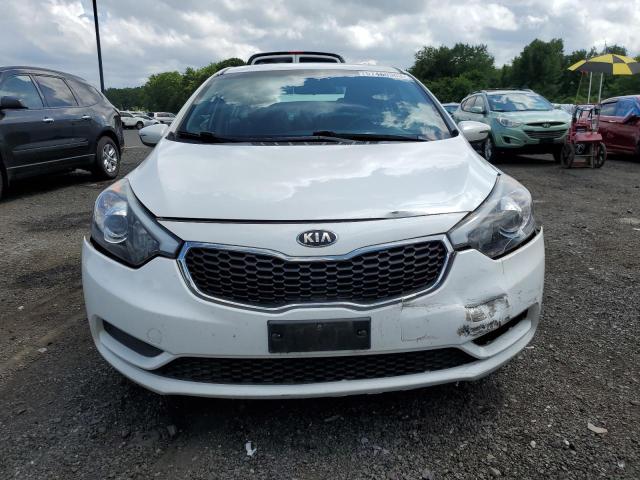 Photo 4 VIN: KNAFX4A65E5064414 - KIA FORTE LX 