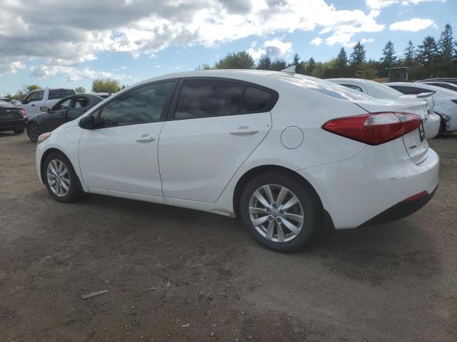 Photo 1 VIN: KNAFX4A65F5409619 - KIA FORTE LX 