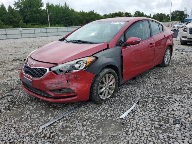 Photo 1 VIN: KNAFX4A65G5455288 - KIA FORTE LX 