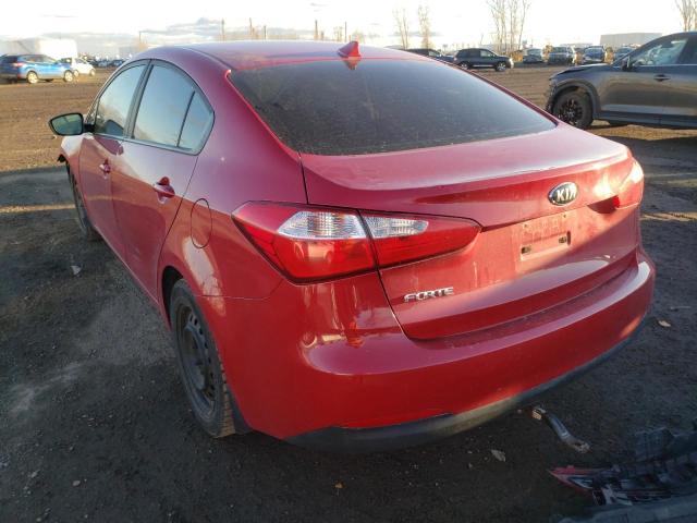 Photo 2 VIN: KNAFX4A65G5594482 - KIA FORTE LX 