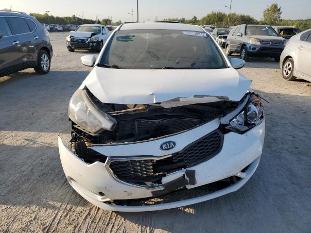 Photo 4 VIN: KNAFX4A66E5181533 - KIA FORTE LX 