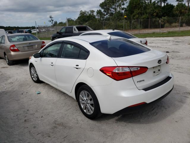 Photo 2 VIN: KNAFX4A66G5461021 - KIA FORTE LX 