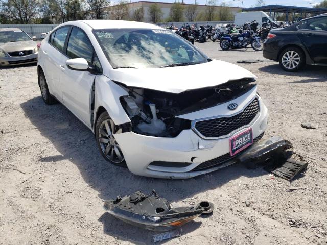 Photo 0 VIN: KNAFX4A66G5462864 - KIA FORTE LX 