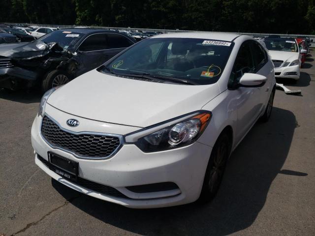 Photo 1 VIN: KNAFX4A66G5491975 - KIA FORTE 