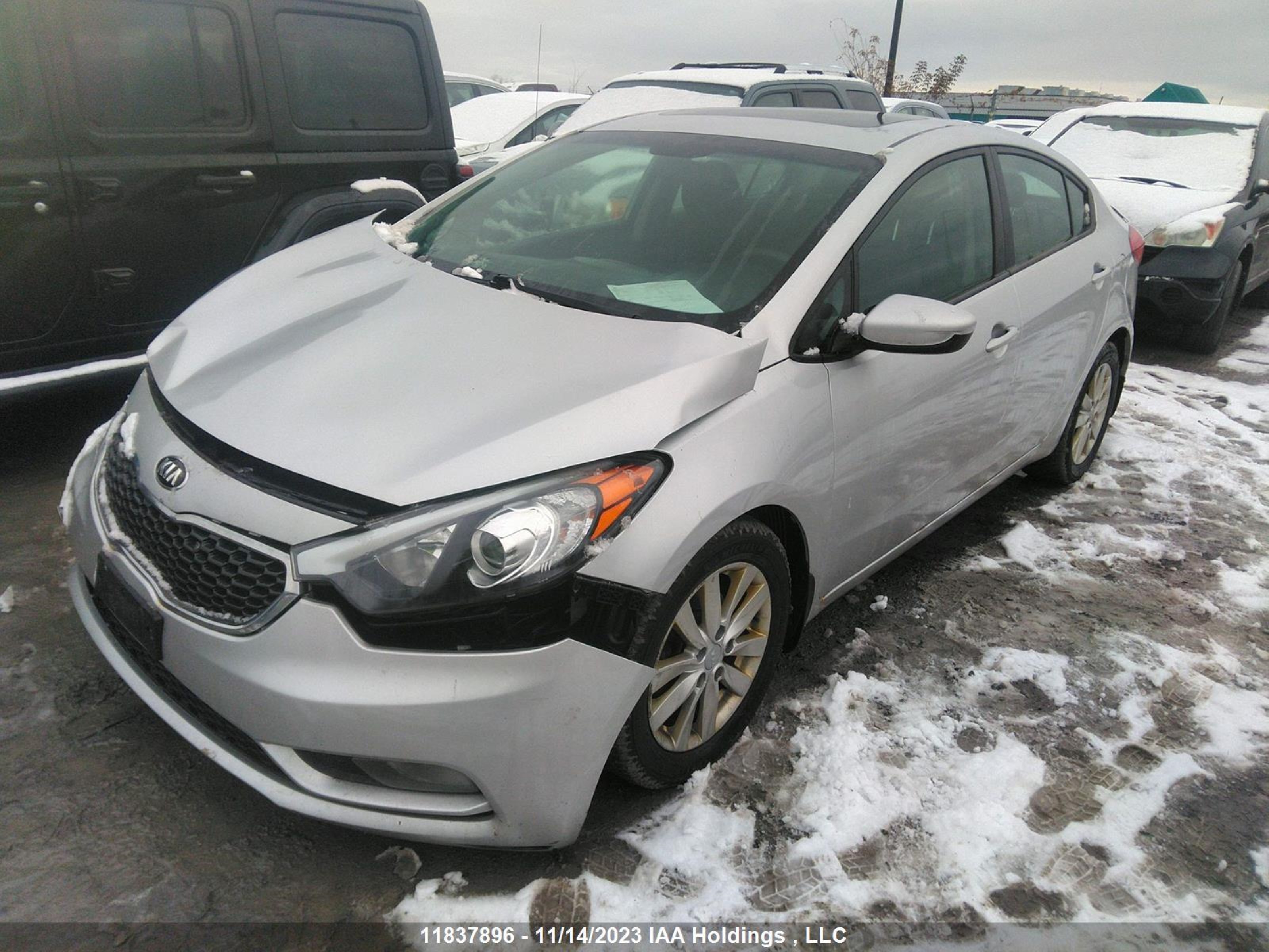 Photo 1 VIN: KNAFX4A66G5556226 - KIA FORTE 