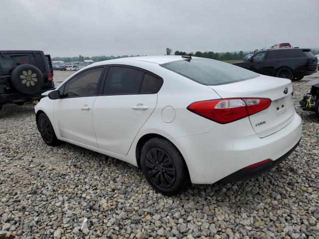 Photo 1 VIN: KNAFX4A68G5498023 - KIA FORTE 