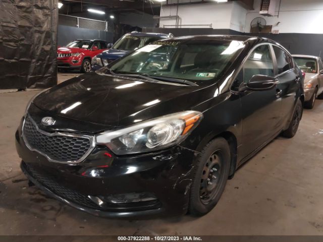 Photo 1 VIN: KNAFX4A68G5522479 - KIA FORTE 