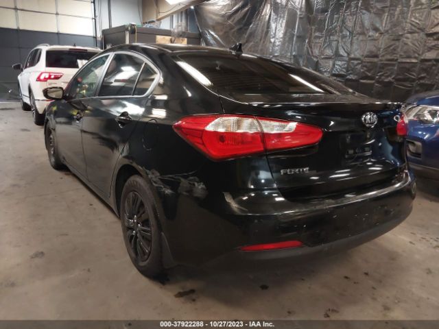 Photo 2 VIN: KNAFX4A68G5522479 - KIA FORTE 