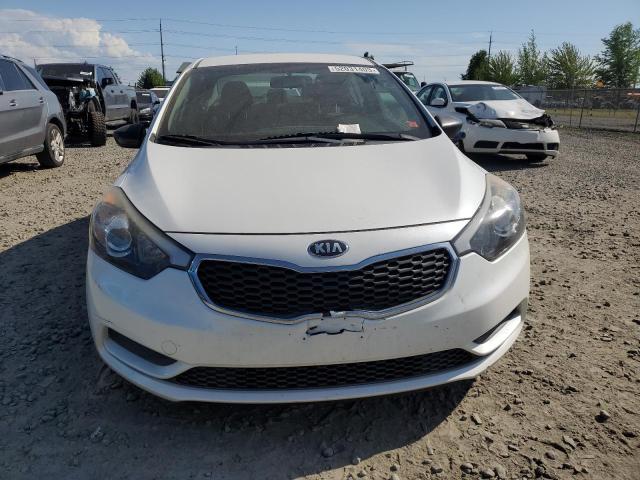 Photo 4 VIN: KNAFX4A68G5544904 - KIA FORTE LX 