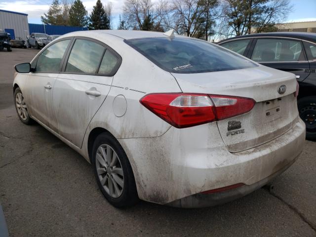 Photo 2 VIN: KNAFX4A68G5562965 - KIA FORTE LX 