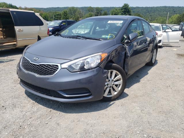 Photo 1 VIN: KNAFX4A68G5570001 - KIA FORTE LX 