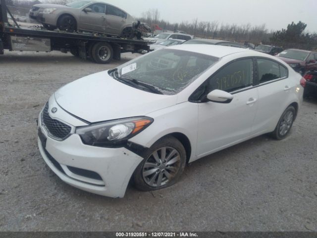 Photo 1 VIN: KNAFX4A68G5609587 - KIA FORTE 