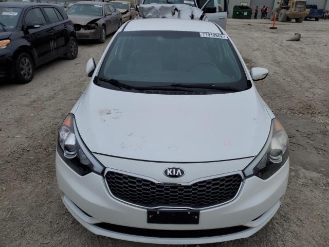 Photo 4 VIN: KNAFX4A69E5060575 - KIA FORTE LX 