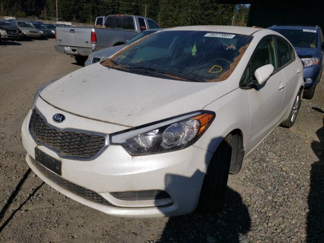 Photo 1 VIN: KNAFX4A69F5256789 - KIA FORTE LX 