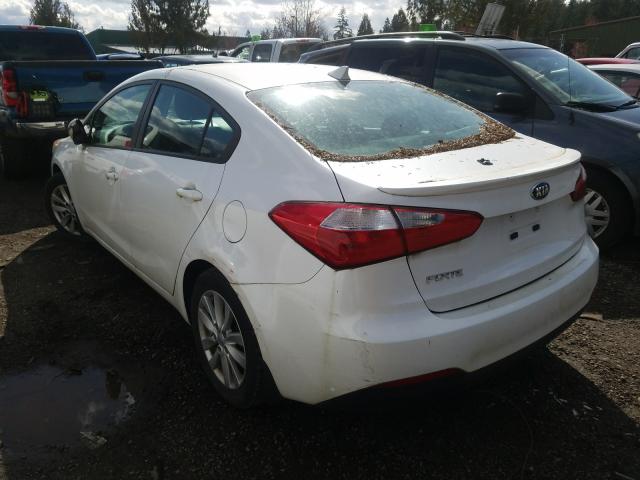 Photo 2 VIN: KNAFX4A69F5256789 - KIA FORTE LX 