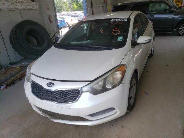 Photo 1 VIN: KNAFX4A69F5308566 - KIA FORTE LX 