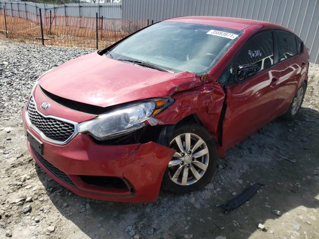 Photo 8 VIN: KNAFX4A69G5567771 - KIA FORTE LX 