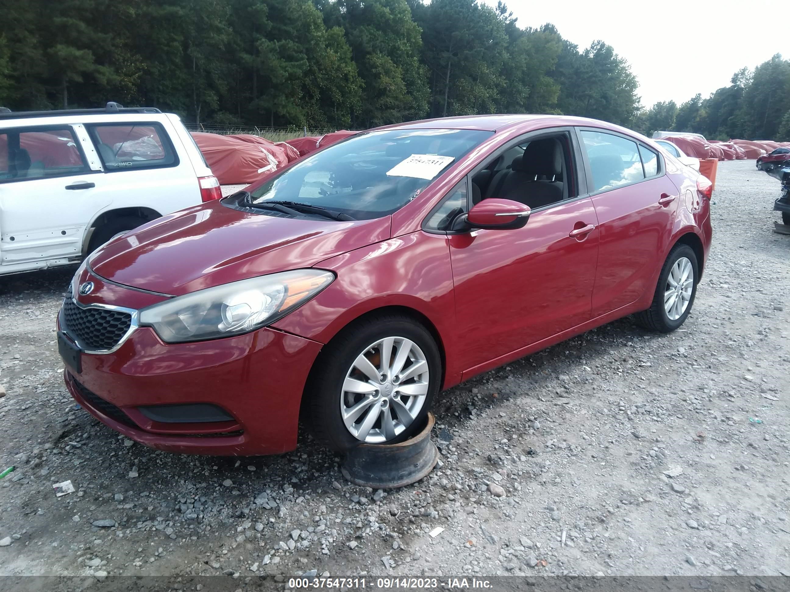 Photo 1 VIN: KNAFX4A69G5610456 - KIA FORTE 