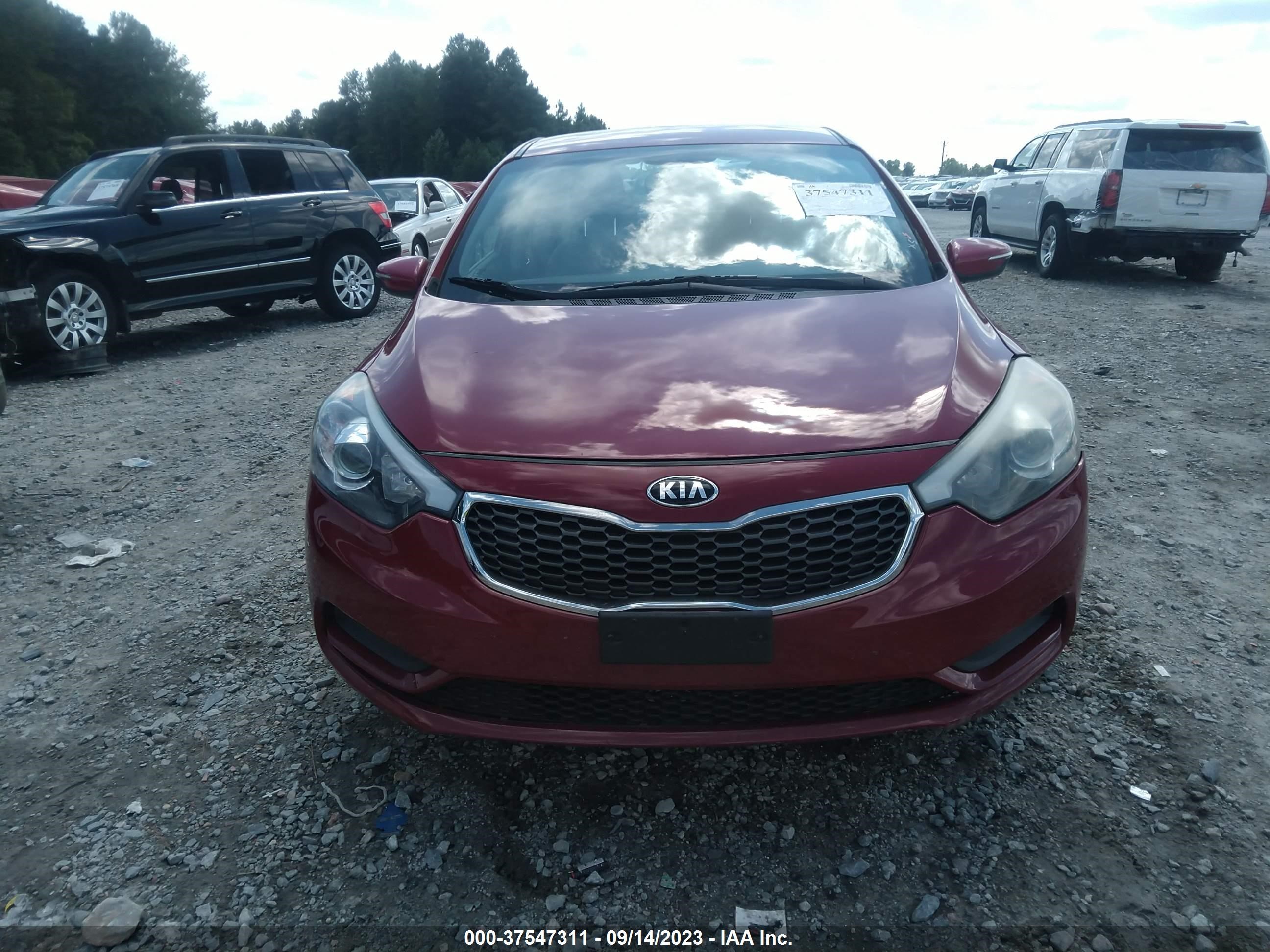 Photo 11 VIN: KNAFX4A69G5610456 - KIA FORTE 