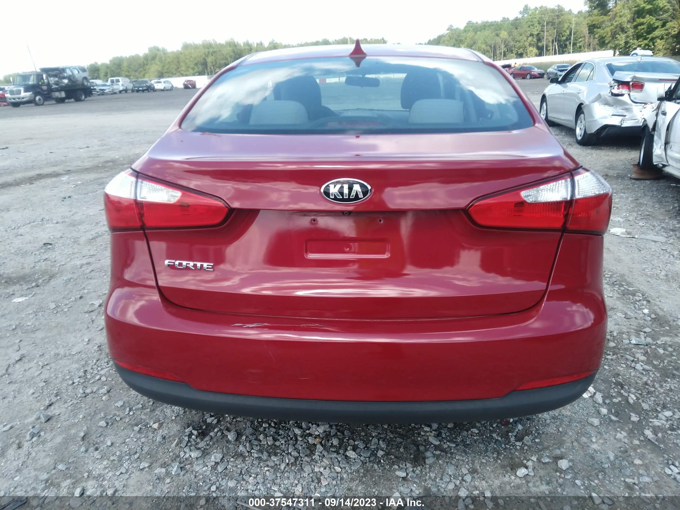 Photo 15 VIN: KNAFX4A69G5610456 - KIA FORTE 