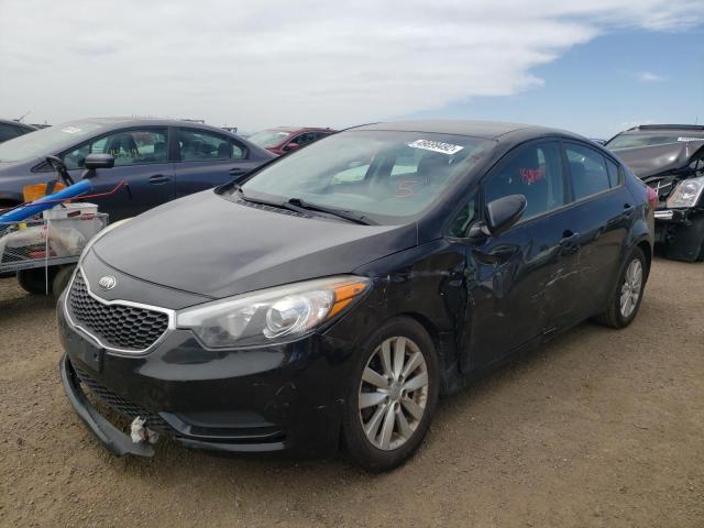 Photo 1 VIN: KNAFX4A6XE5062335 - KIA FORTE LX 