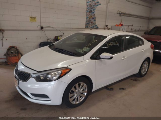 Photo 1 VIN: KNAFX4A6XF5275349 - KIA FORTE 